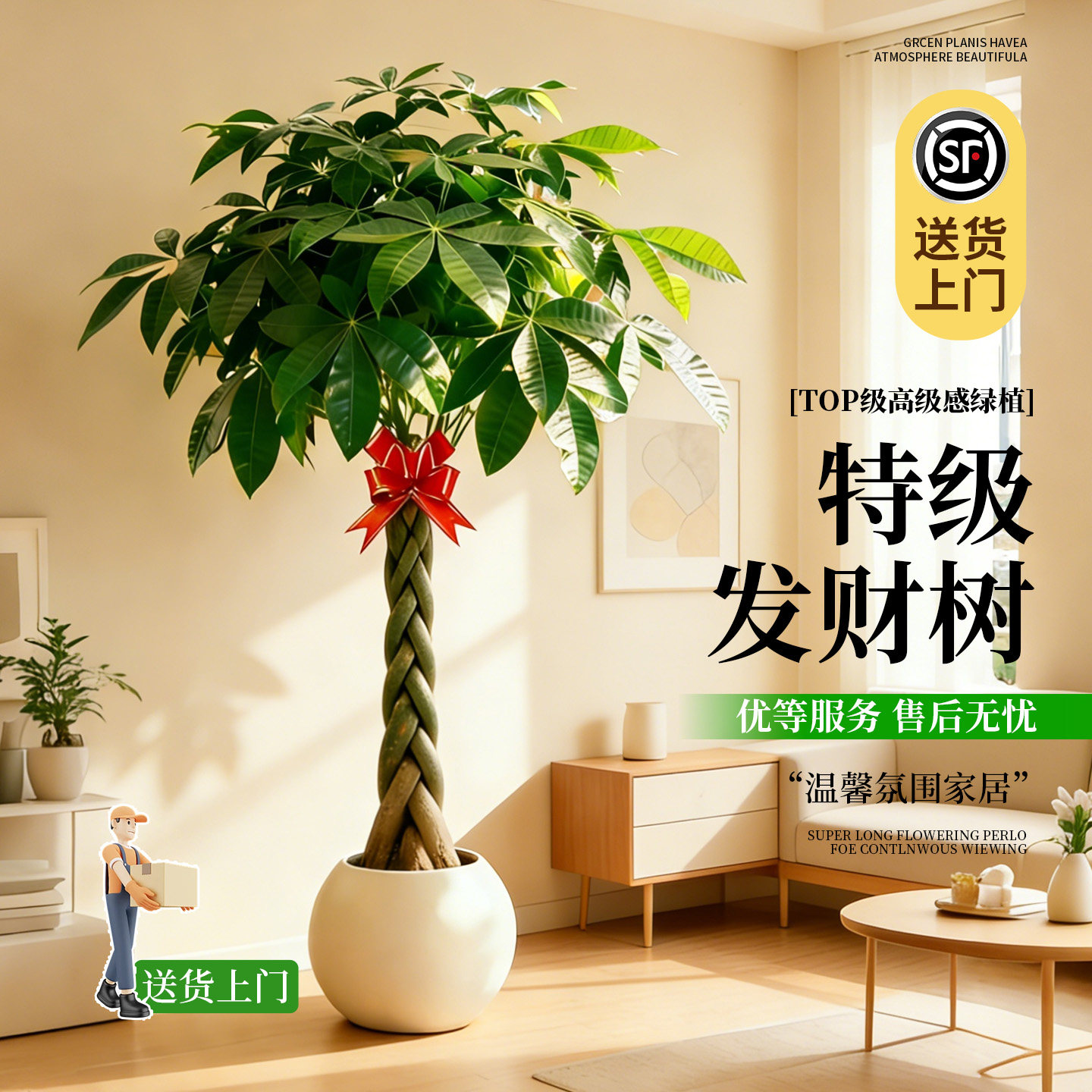 辫子发财树客厅盆栽大型室内绿植招财树办公室乔迁开业落地植物棵