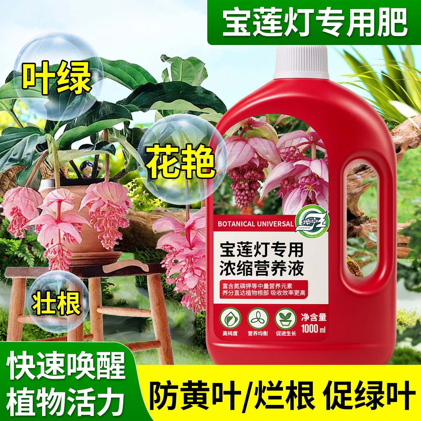 宝莲灯专用植物水溶肥营养液植物花卉专用绿植促生长绿叶延长花期,鲜花速递/花卉仿真/绿植园艺,家庭园艺肥料,淘宝优惠券,粉丝福利购,淘宝优惠卷