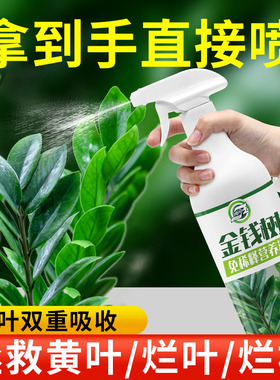 免稀释金钱树专用营养液家用花卉盆栽绿植物室内发财树叶面花肥料