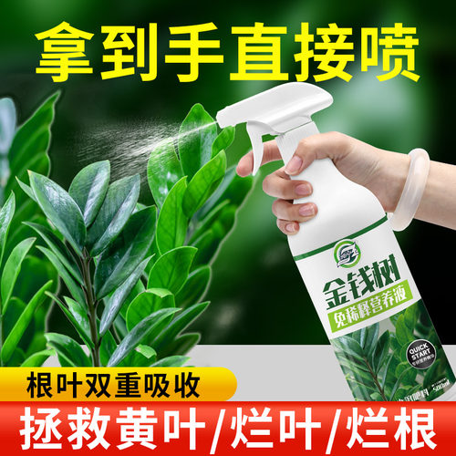 营养液免稀释金钱树专用