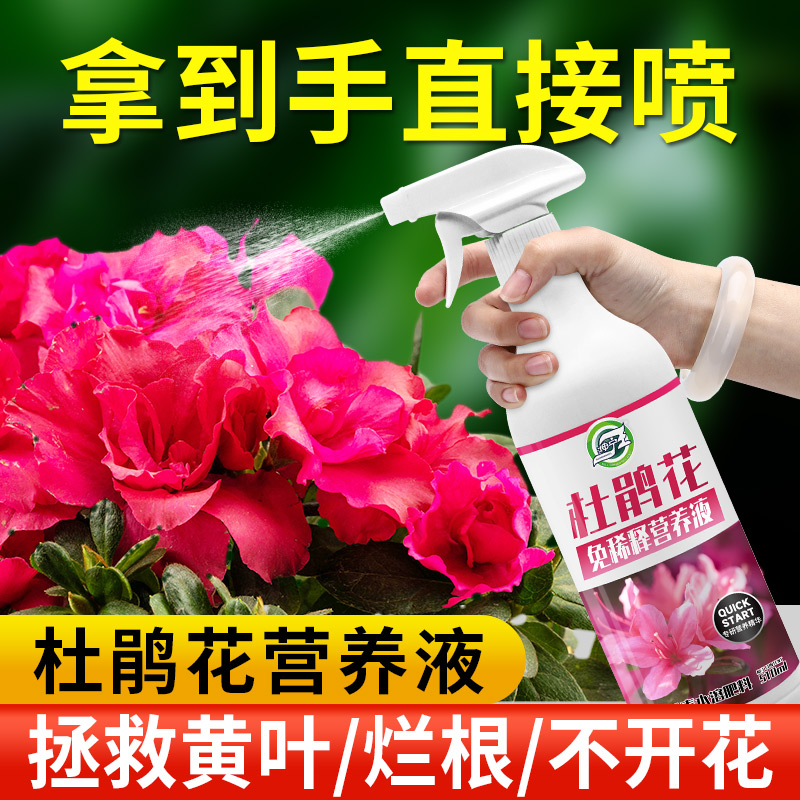 杜鹃花免稀释专用营养液有机种植叶面肥料促开花喜酸植物盆栽家用