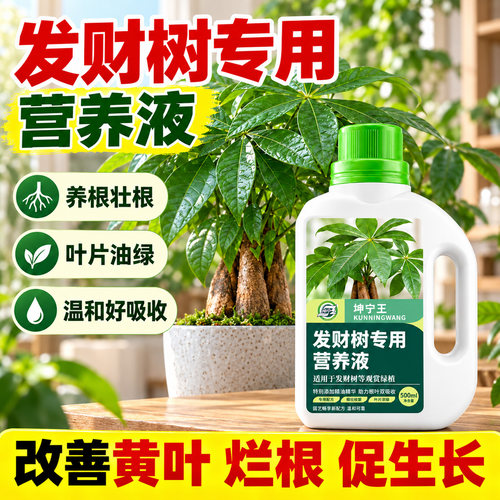 发财树专用营养液室内植物盆栽防黄叶掉叶黄斑烂根专用肥料液体肥