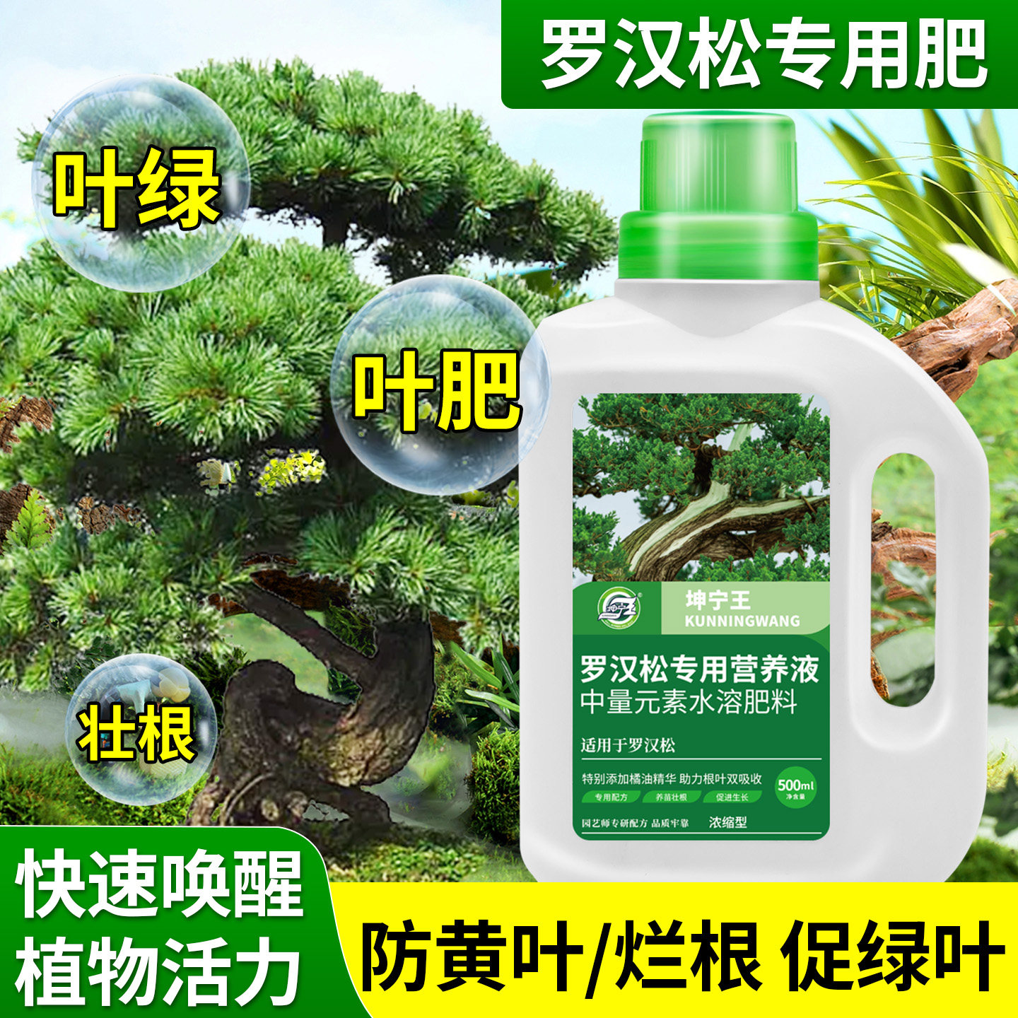罗汉松专用营养液叶肥防黄叶烂根促绿叶植物液体肥喷叶灌根通用肥,鲜花速递/花卉仿真/绿植园艺,家庭园艺肥料,淘宝优惠券,粉丝福利购,淘宝优惠卷