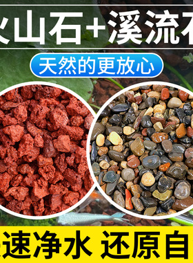 天然火山石溪流石鱼缸专用水族造景铺底底部砂石原生古法养鱼颗粒