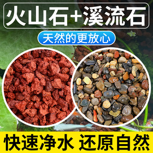 天然火山石溪流石鱼缸专用水族造景铺底底部砂石原生古法养鱼颗粒