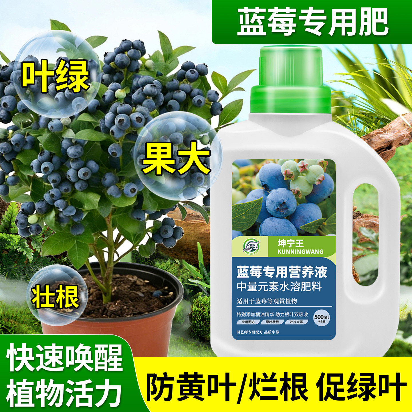 蓝莓专用植物营养液家庭盆栽中量元素植物肥料促绿叶果大壮根催产,鲜花速递/花卉仿真/绿植园艺,家庭园艺肥料,淘宝优惠券,粉丝福利购,淘宝优惠卷