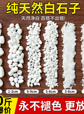 50斤装白石子白色鹅卵石颗粒户外庭院铺路铺地天然小白石头造景观