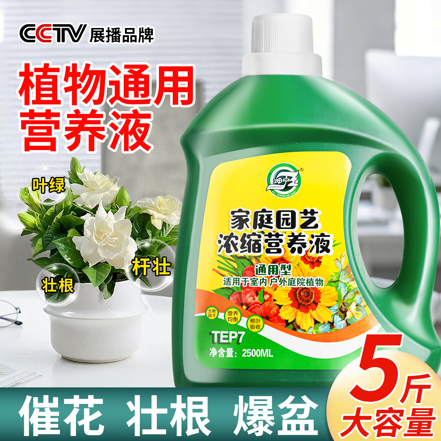 植物发财树富贵竹绿萝营养液