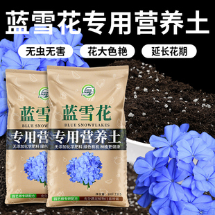 蓝雪花专用营养土石竹科蓝雪花盆栽家用花卉通用种植土肥料专用肥