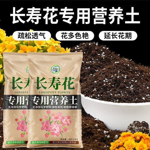 长寿花专用土花朵饱满色艳