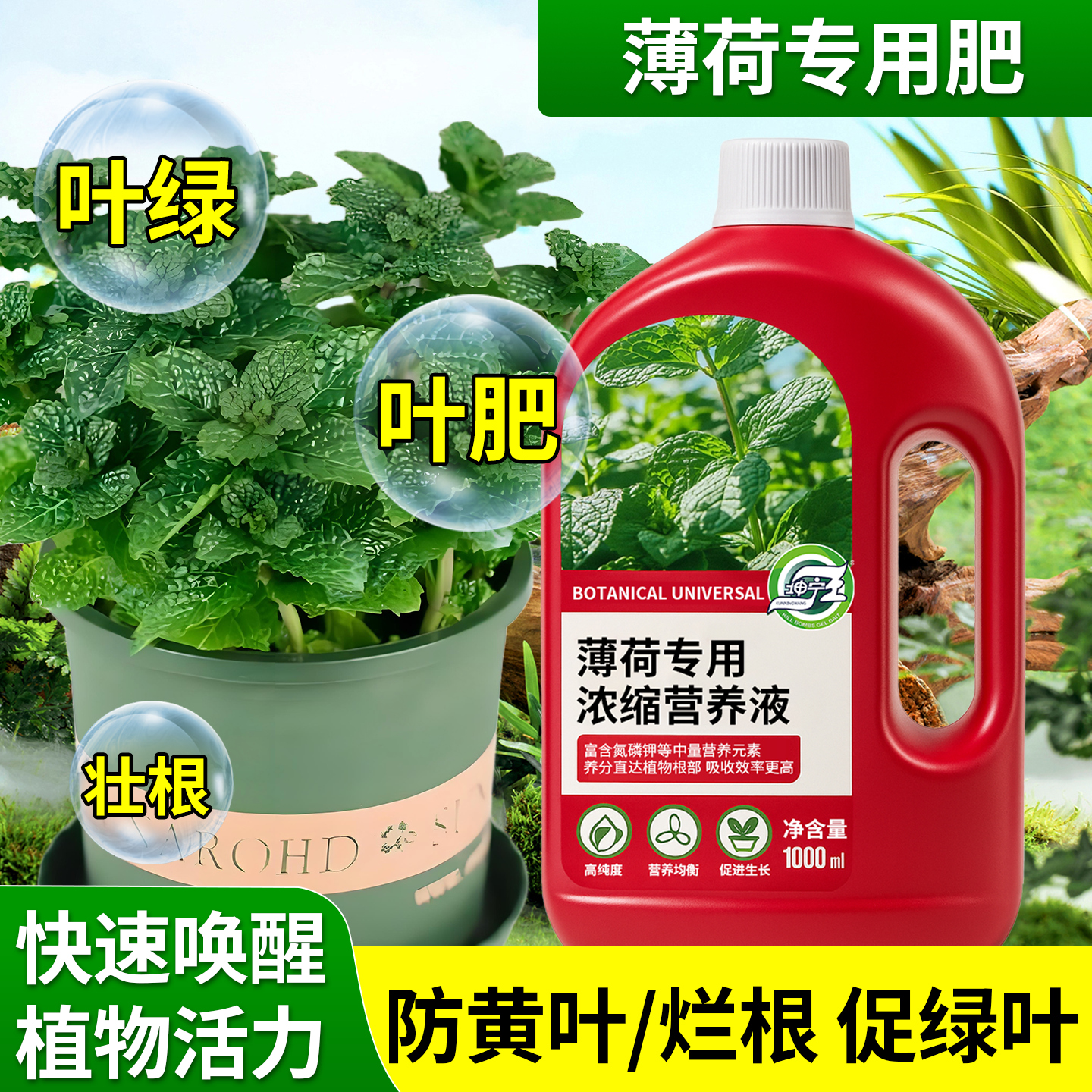 薄荷专用植物营养液水培薄荷治黄叶烂根绿植盆栽家用养花液体肥,鲜花速递/花卉仿真/绿植园艺,家庭园艺肥料,淘宝优惠券,粉丝福利购,淘宝优惠卷