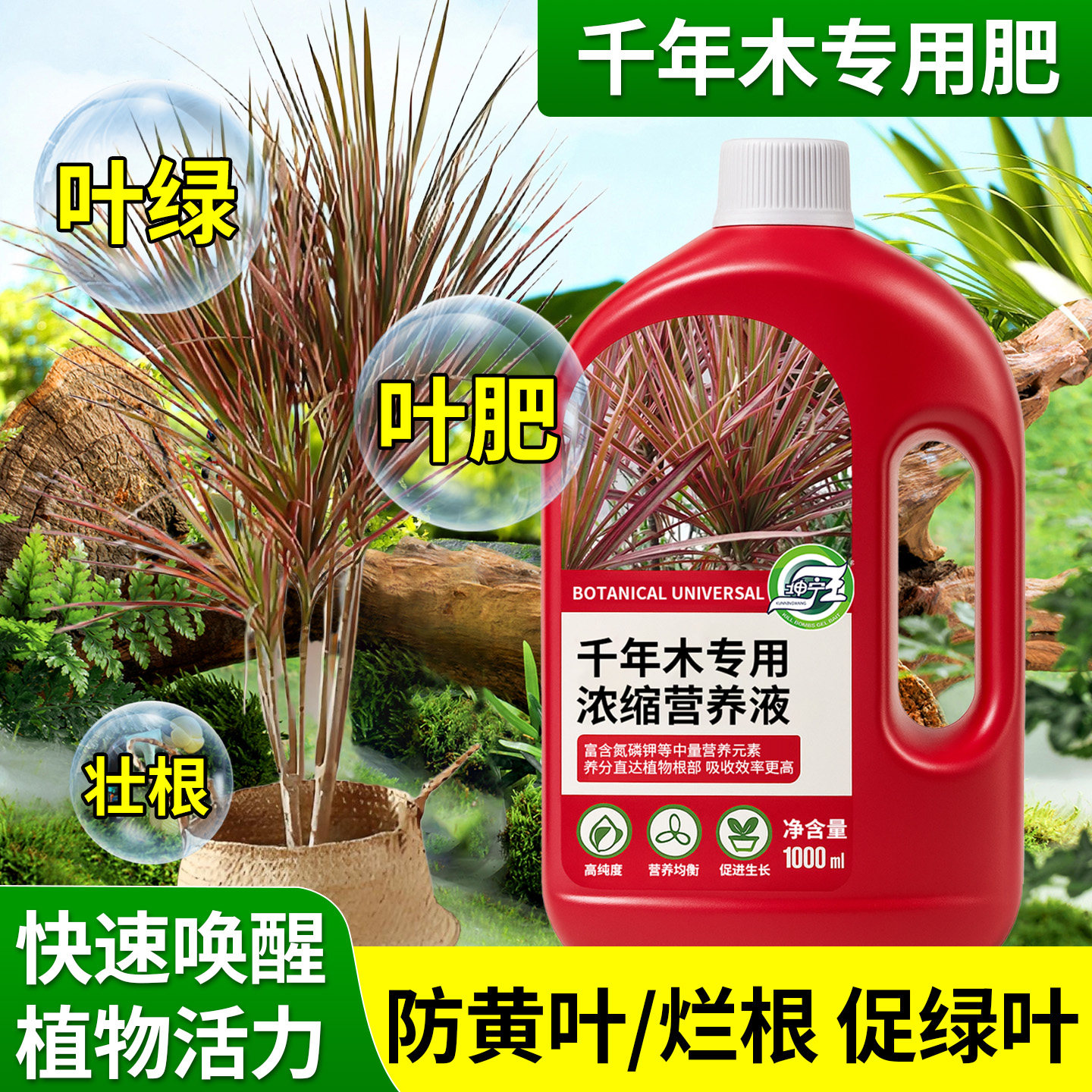 千年木专用植物营养液马尾铁七彩铁绿植花肥治掉叶烂根干尖助上色,鲜花速递/花卉仿真/绿植园艺,家庭园艺肥料,淘宝优惠券,粉丝福利购,淘宝优惠卷