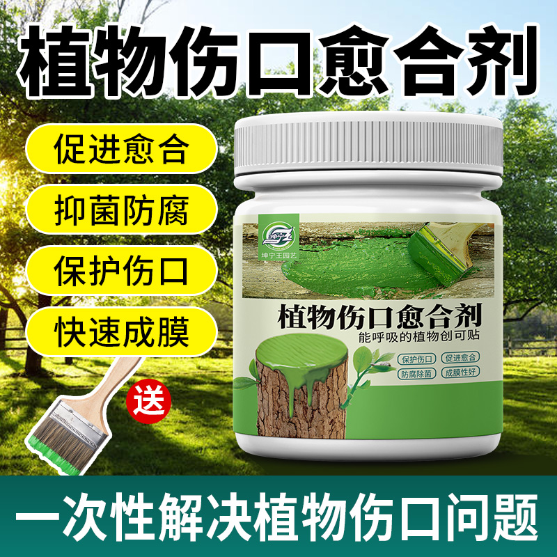 植物伤口愈合膏成膜快促愈合