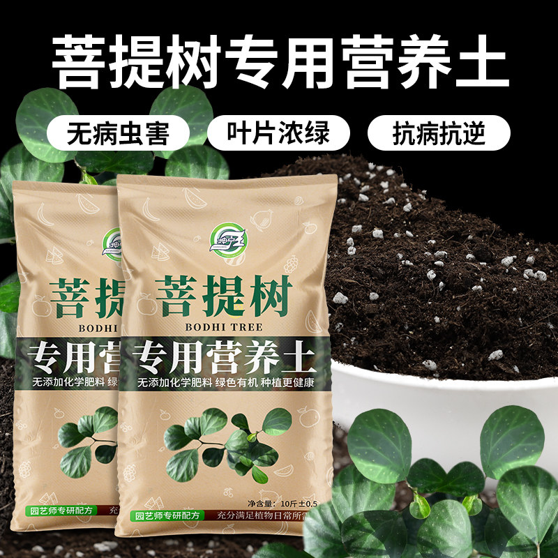 菩提树专用土有机肥料营养土图片