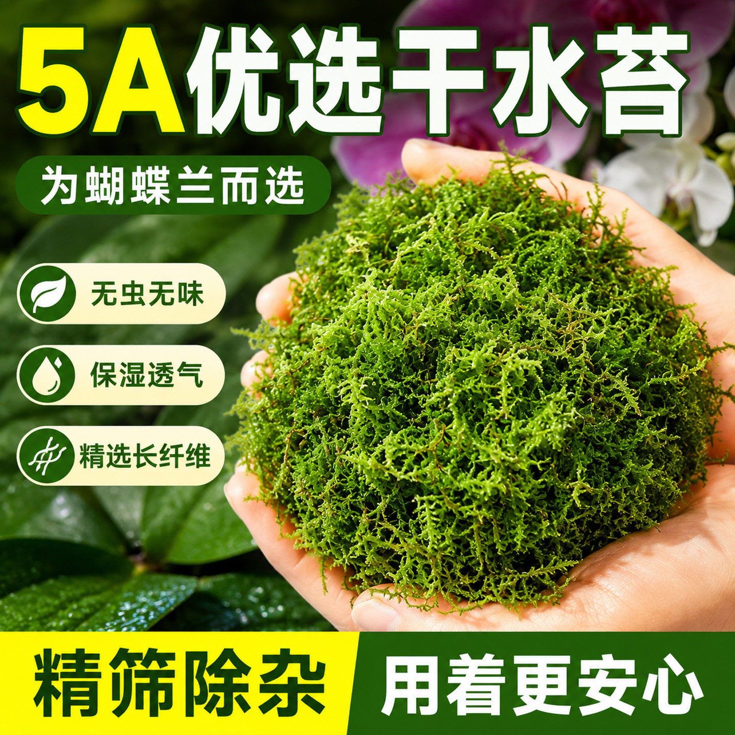 干苔藓水苔青苔兰花蝴蝶兰石斛种植专用营养土植料乌龟冬眠水台