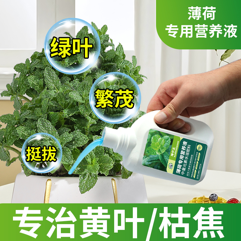薄荷专用肥料营养液盆栽薄荷有机肥料营养液室内植物盆栽专用肥料