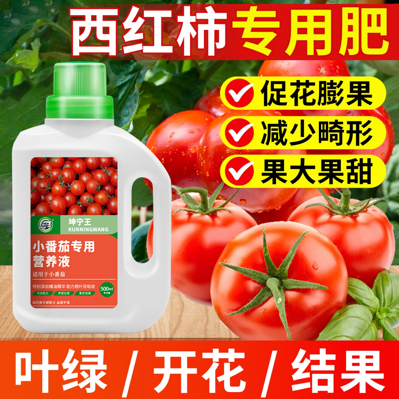 小番茄专用肥料营养液西红柿小番茄圣女果盆栽通用催花结果有机肥