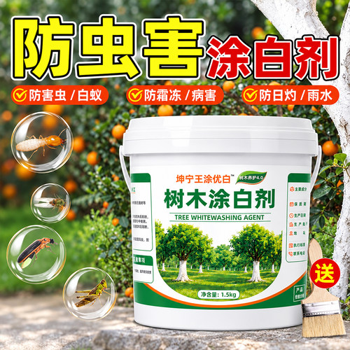 树木涂白剂果树刷白防寒杀菌杀虫