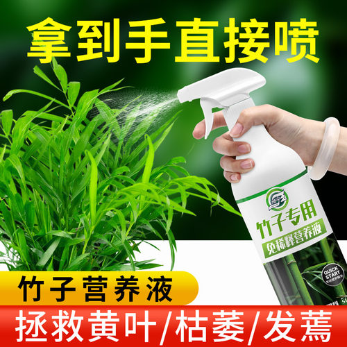 竹子免稀释专用营养液竹科文竹富贵竹植物液体肥料室内绿植通用型