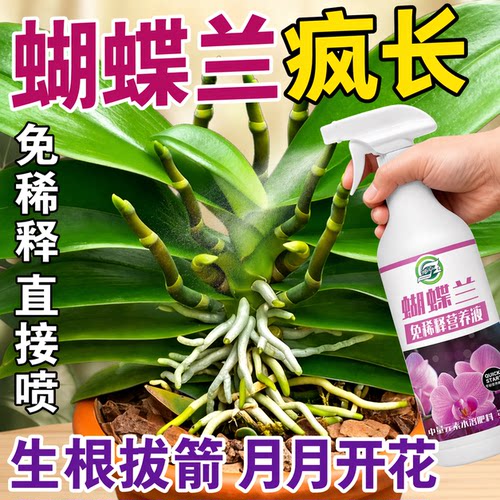 蝴蝶兰专用免稀释营养液促花箭开花肥料多箭素烂根生根复活营养液
