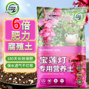 宝莲灯专用土营养土家用阳台养花专用营养土培植宝莲灯专用泥炭土