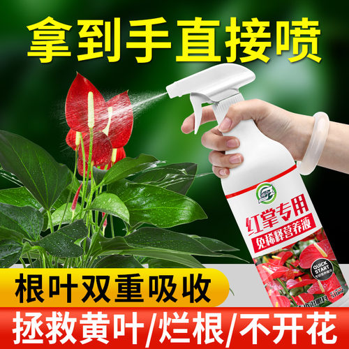 红掌专用免稀释营养液液体肥