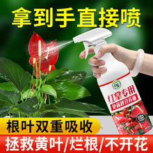 红掌专用免稀释营养液植物活力促生长绿植生根氮磷钾肥料液体肥料