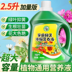 营养液植物通用型花肥发财树富贵竹绿萝水培盆栽家用花卉绿植肥料