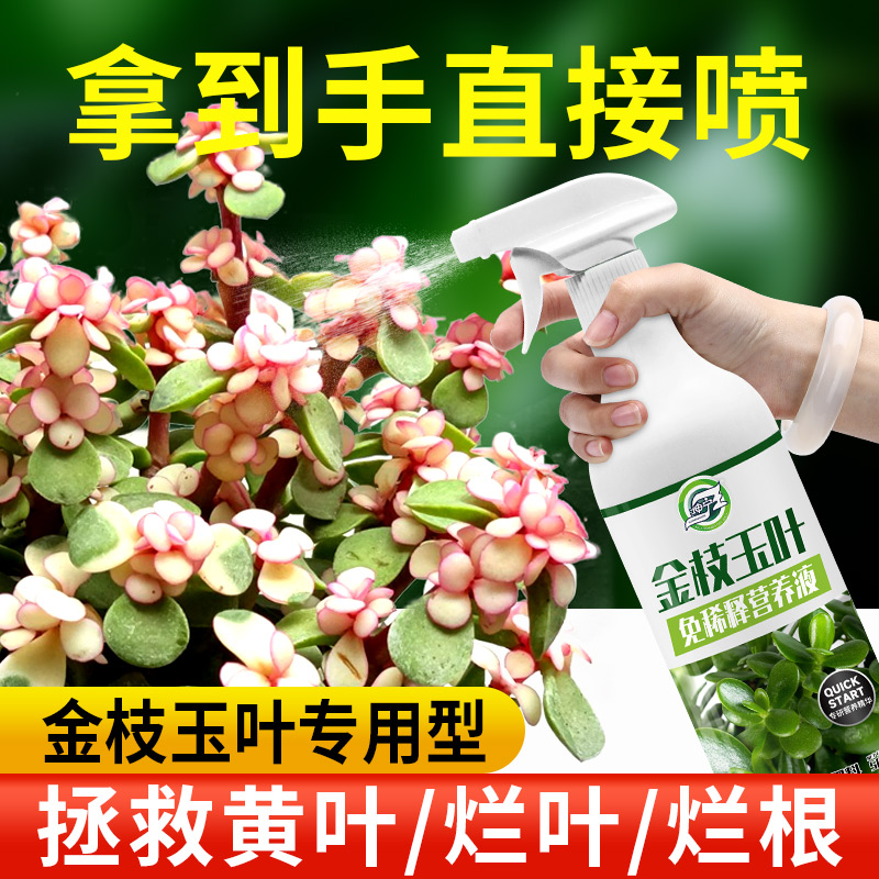 金枝玉叶免稀释喷施肥专用营养液