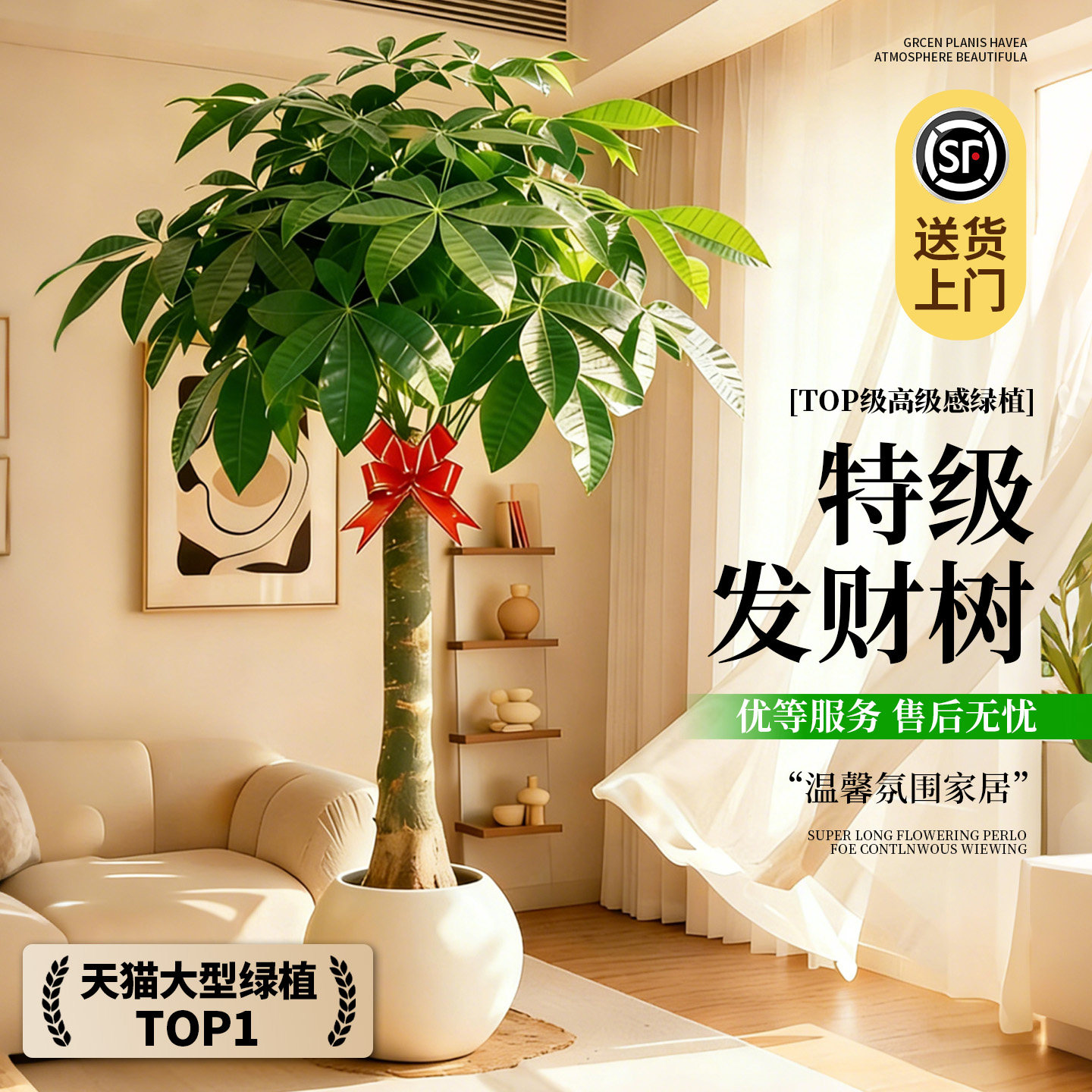 发财树盆栽大棵室内摆客厅大型步步高招财树绿植物办公室乔迁开业
