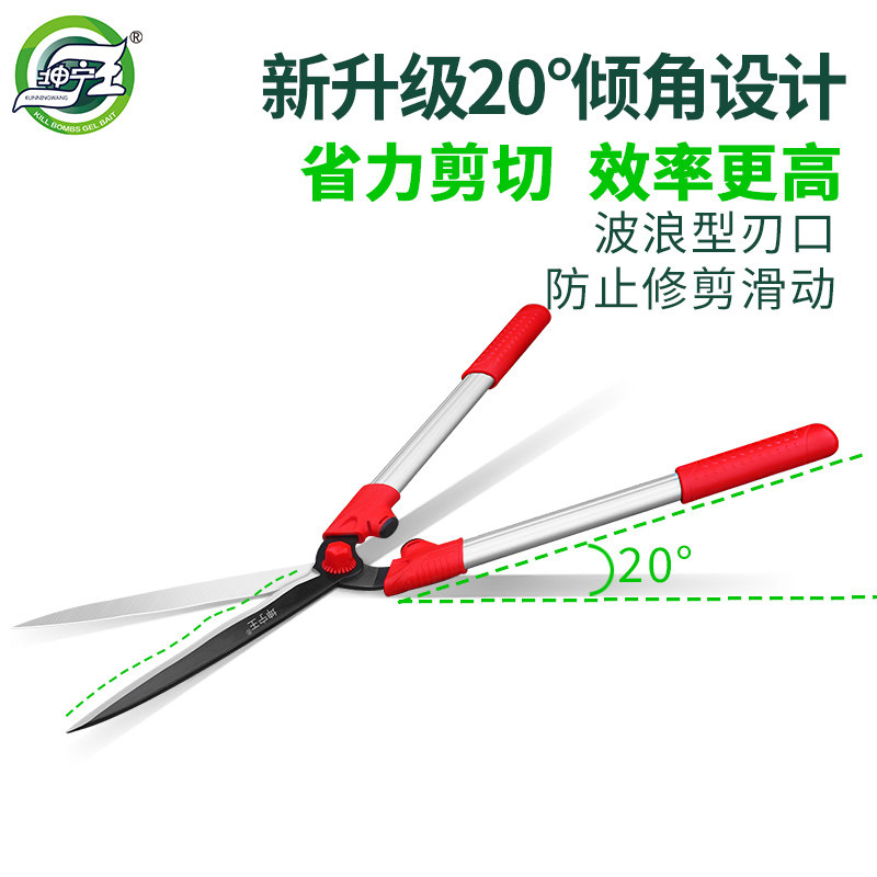园艺剪刀家用绿篱剪草坪修剪花草剪树枝园林粗枝绿化修枝剪大剪i.图片