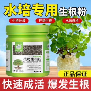 水培专用生根粉植物通用快速树木移栽强力植物生根粉官方旗舰店