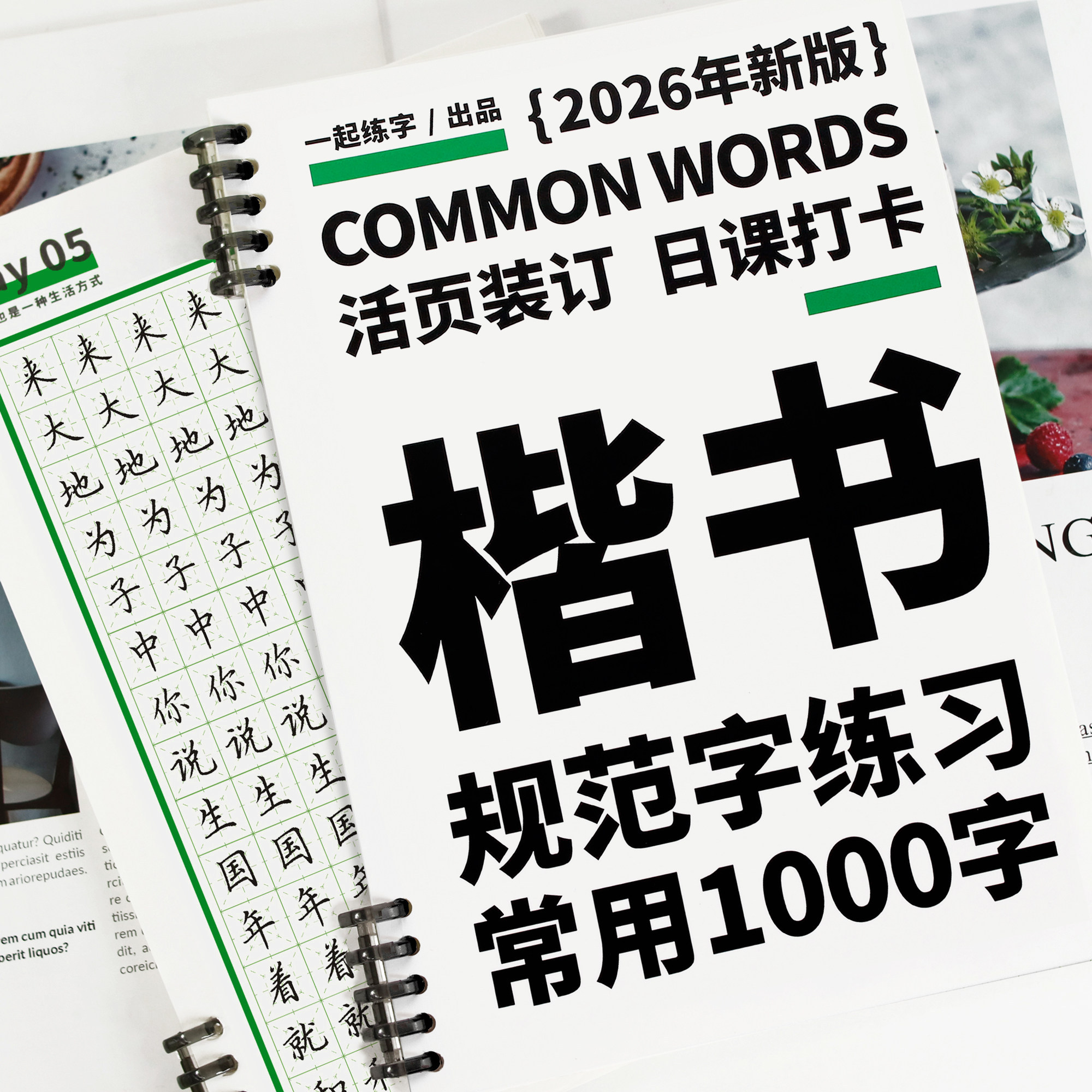 一起练字楷书字帖成人练字专用活页日课字帖常用1000字硬笔书法入门大学生成年规范字小学生字体成人硬笔字帖临摹描红本正楷书法纸