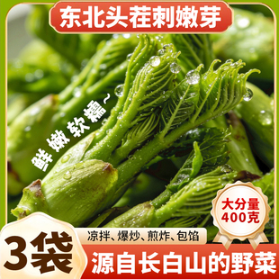 东北特产刺嫩芽2025新鲜头茬野生山野菜刺老芽龙芽野山珍春菜山菜