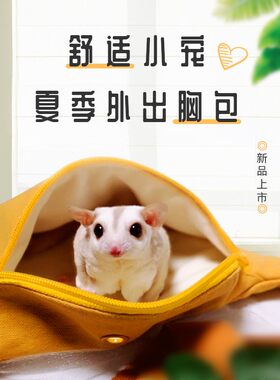 蜜小羽 蜜袋鼯外出包新款纯棉夏季蜜袋鼬仓鼠外带包小宠外出胸包