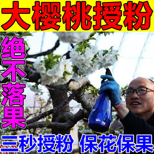 大樱桃授粉药花粉授粉坐果精保花保果药防落果人工授粉器旺水溶肥