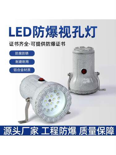 LED防爆视孔灯 BSD反应釜视镜灯 密闭容器探照灯 防爆照明内视灯