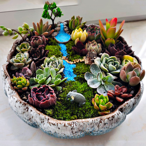 不梵中国风创意简约花盆大号莲花