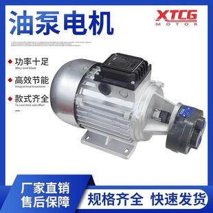齿轮油泵电机组370 10油泵组配齿轮油泵 550W配CBB2.5