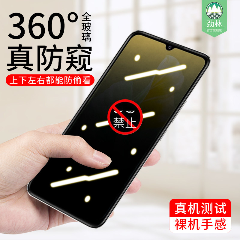 VIVOS10E防窥钢化膜全屏
