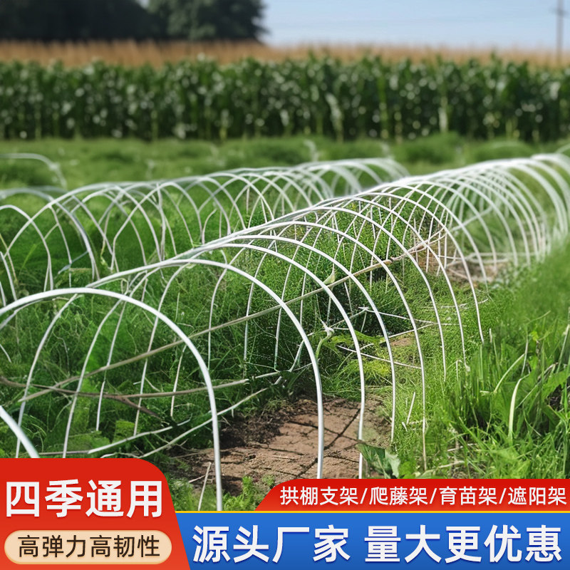 新型小拱棚支架实心玻璃纤维杆棒大棚塑料养殖骨架农家用菜棚支架