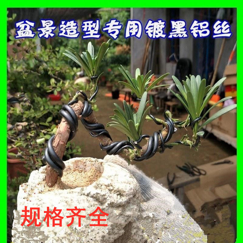 扎花专用园艺铝丝软铅丝植物手工花卉造型盆景扎丝铝丝苗木铁丝蟠|msdalam kategori penghantaran bunga/bunga simulasi/tumbuhan berkebun, Gardening Supplies, Peralatan Perkebunan lain - dari Buy2taobao.com untuk memberikan perkhidmatan ejen Taobao profesional membeli