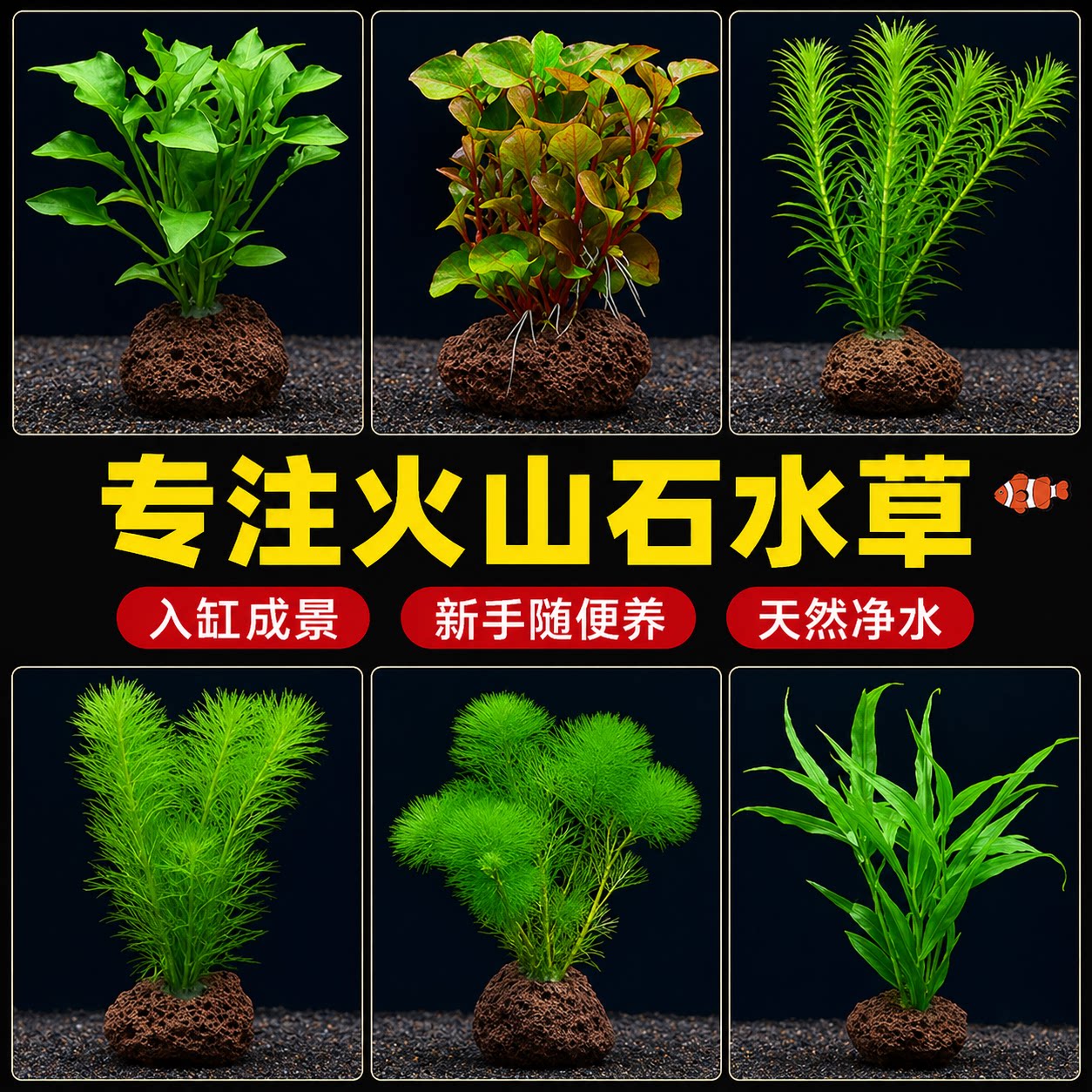 鱼缸水草莫斯真植物水族箱中后景绿菊蜈蚣草阴性造景装饰绿植真草