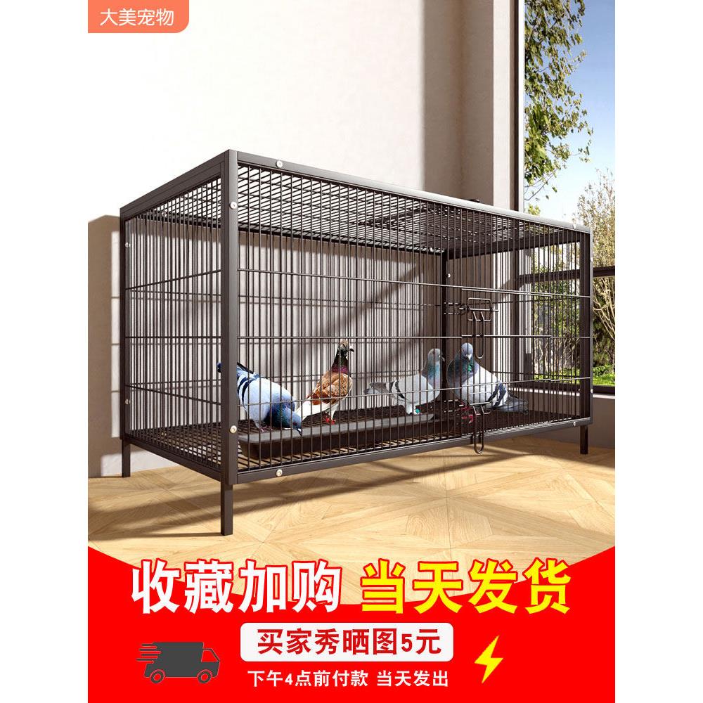 鸽子笼专用养殖笼子家用大号特大号铁丝网新款户外繁殖配对笼鸽窝