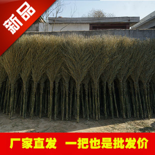 家用扫把竹扫把庭院室外马路环卫扫帚芒草笤帚扫地定制竹子大扫把