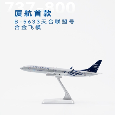 厦门航空737-800天合联盟号B-5633合金飞模尺寸：197mm*179mm*