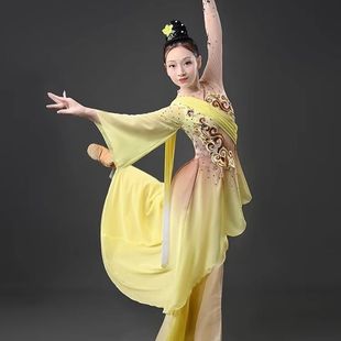 2026新款中国演出服古典舞桃李杯飘逸剧目寒依疏影表演舞蹈服
