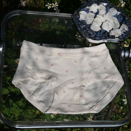 森林理想国ldquo水果派对rdquo7A抑菌纯棉内裤女中腰包臀纯棉春夏