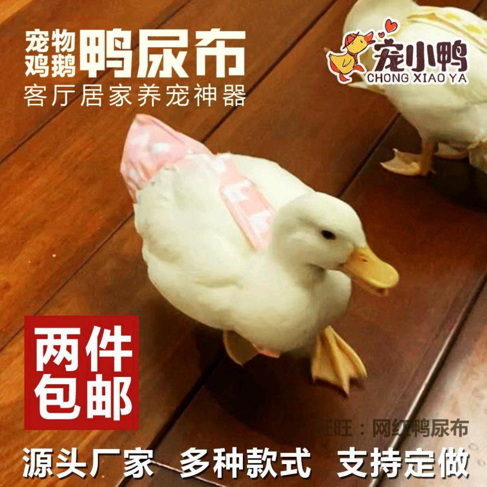 网红宠物鸭尿布柯尔鸭子屎兜用具鸡尿不湿鹅尿片纸尿裤领结可换洗