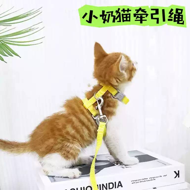猫咪牵引绳挣脱外出工字型调节宠物专用抱婴袋泰迪布偶小型绳子链